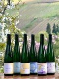 Von trocken bis süß - 6 Fl.