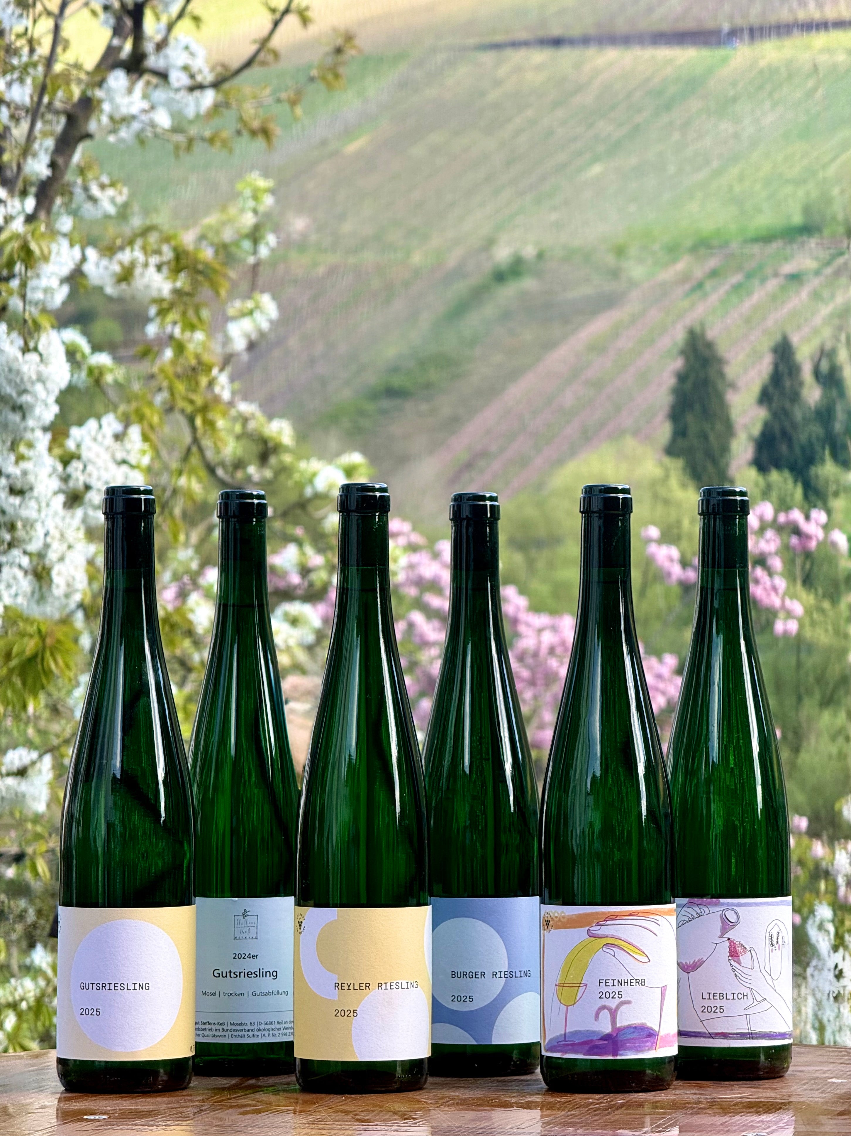 Von trocken bis süß - 6 Fl.